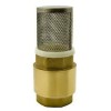 Foot Valve (16)