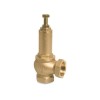 Pressure Relief Valves (9)