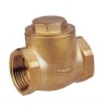 Swing Check Valves (9)