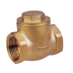 Swing Check Valve 1" BSP Female Swing Check Valve 1" BSP Female