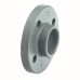 1/2" Full Faced Flange NP 10/16 Plain